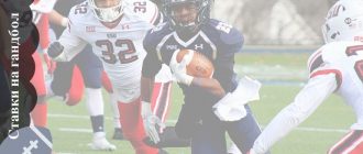 Как делать ставки на гандбол