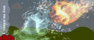 Ставки на бои ММА и ЮФС