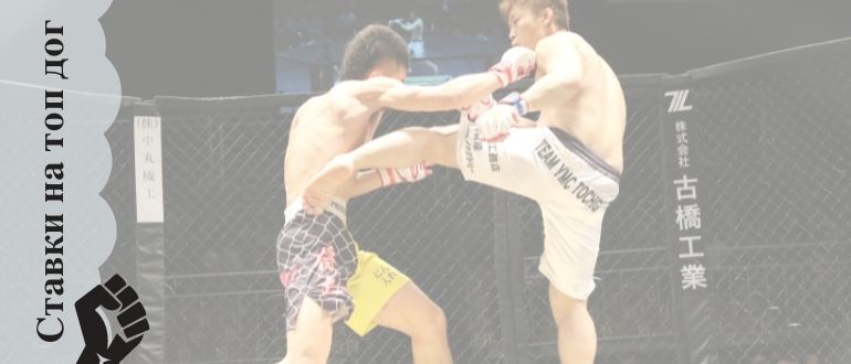 Ставки на кулачные бои Топ дог и прочие