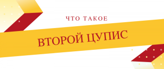 Что такое и чем занимается второй ЦУПИС