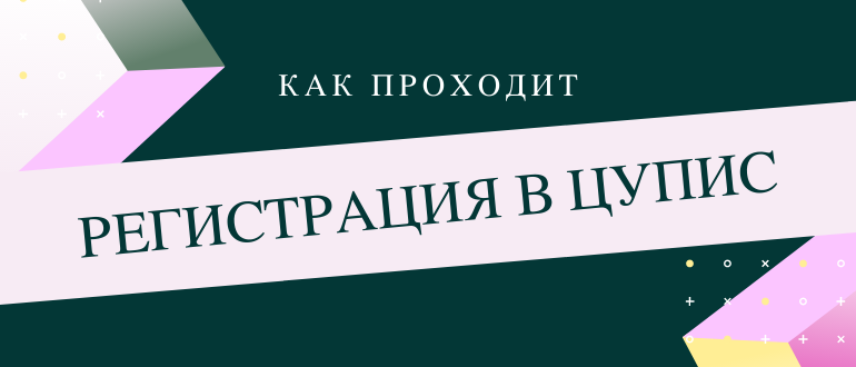 Как проходит регистрация и идентификация в ЦУПИС