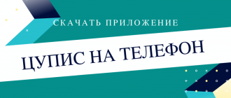 Как скачать ЦУПИС на телефон